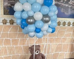 beer-luchtballon-luchtballonnen